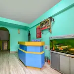 Spot On 81956 Hotel Chandrama And Guest House